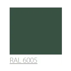 MAXI COLOR RAL 6005 POLYSK