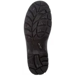 TRZEWIKI B.PODN.WYS.SKOR,CZ.41