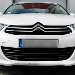 K2 NUTA ANTI-INSECT PRO 1L – Profesjonalny płyn do usuwania owadów z karoserii