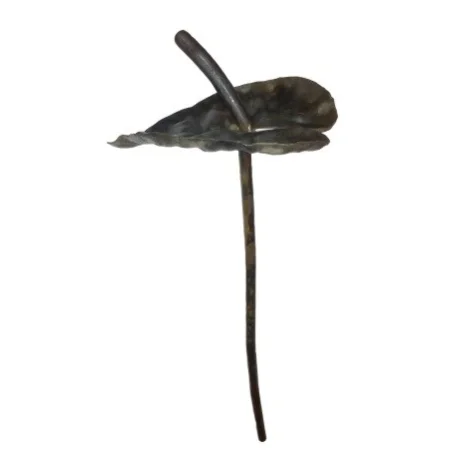 Kwiat kuty KARANT01.1